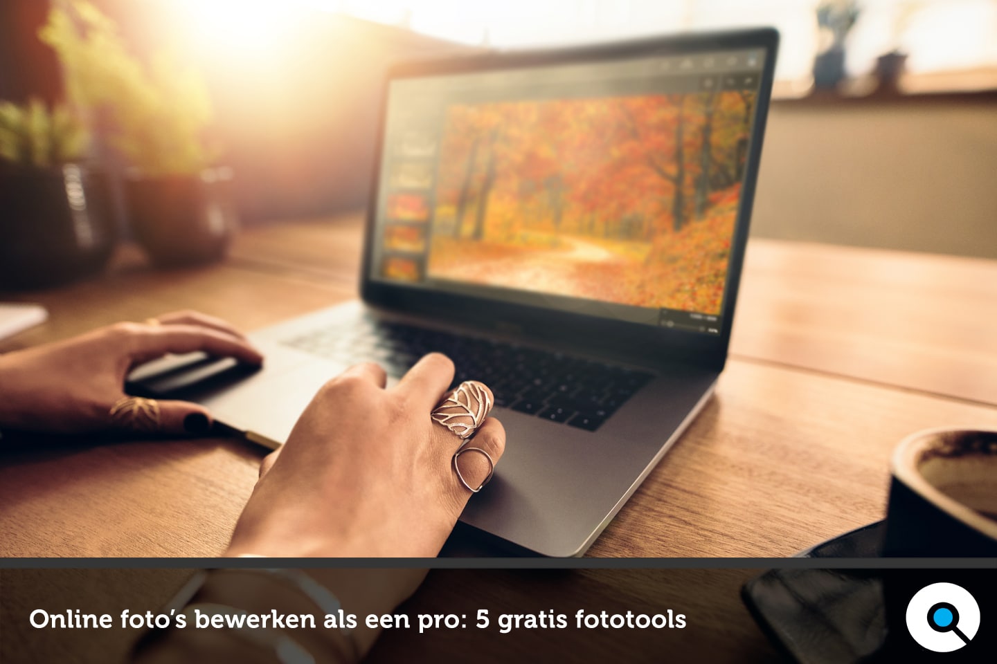 Rally Eekhoorn Geavanceerde Online foto's bewerken als een pro: 5 gratis fototools